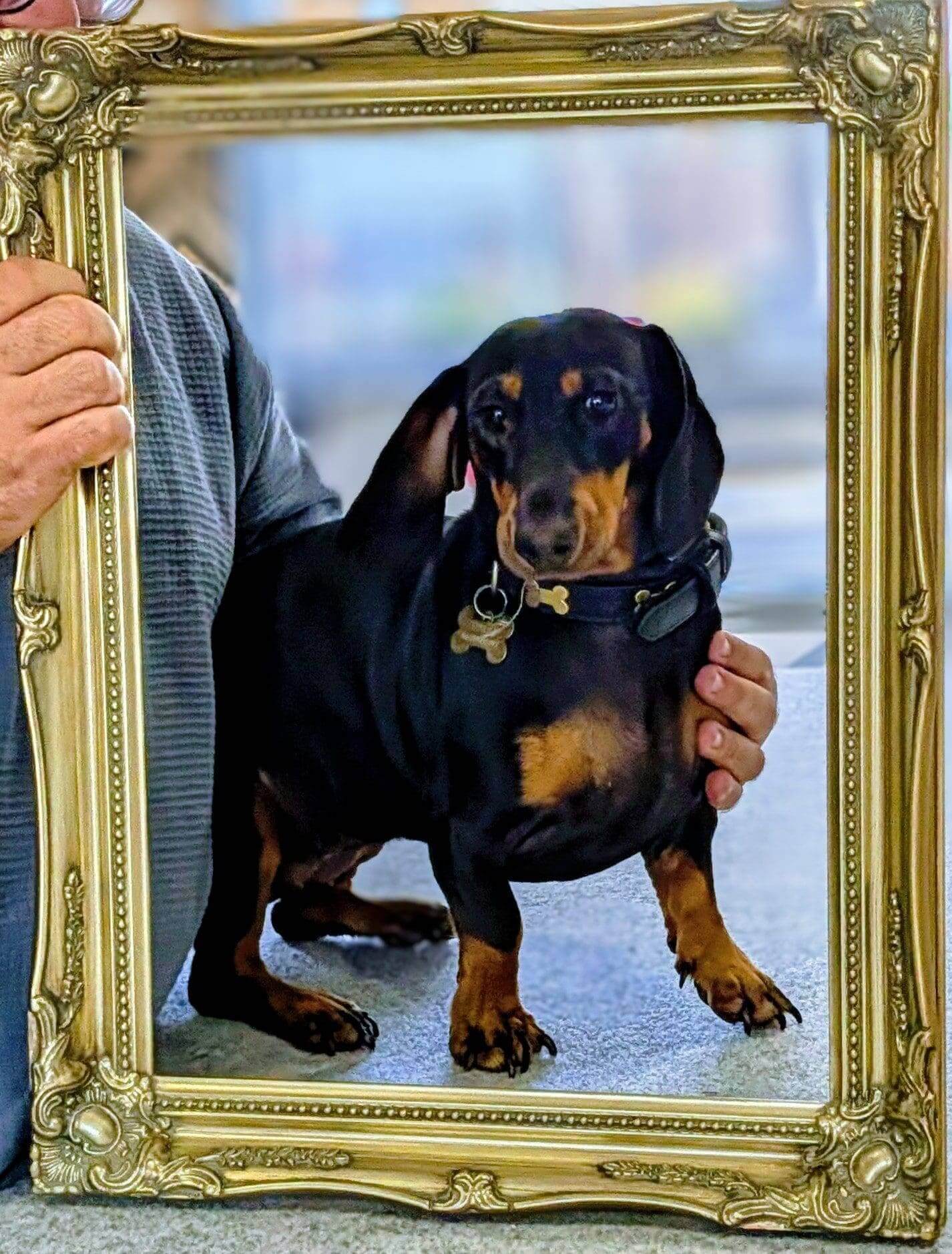 Caru ‘Bear’ James – Head of Security & PR